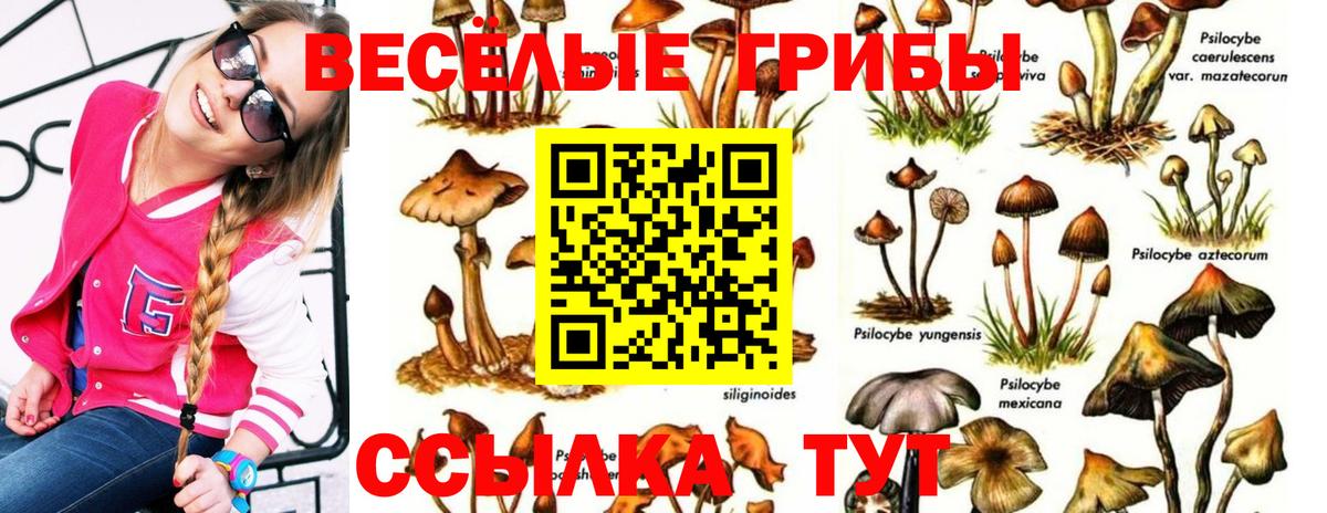 Галлюциногенные грибы MAGIC MUSHROOMS  Псилоцибиновые грибы Cubensis  как найти наркотики  Вход с VPN  Ступино 
